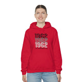 1962 Gildan Unisex Heavy Blend™ Hooded Sweatshirt